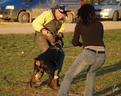 Training in Prague 3/2007